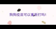 狗狗疫苗可以重新打吗