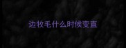边牧毛什么时候变直
