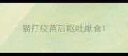 猫打疫苗后呕吐厭食