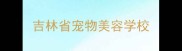 吉林省宠物美容学校