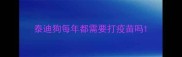 泰迪狗每年都需要打疫苗吗