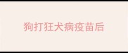 狗打狂犬病疫苗后