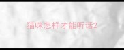 猫咪怎样才能听话
