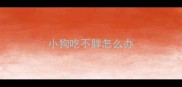 小狗吃不胖怎么办