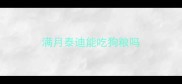 满月泰迪能吃狗粮吗