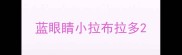 蓝眼睛小拉布拉多