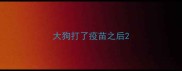 大狗打了疫苗之后