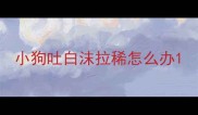 小狗吐白沫拉稀怎么办