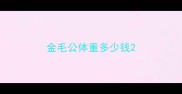 金毛公体重多少钱