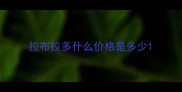 拉布拉多什么价格是多少