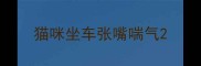 猫咪坐车张嘴喘气