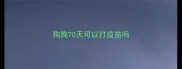 狗狗70天可以打疫苗吗