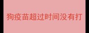 狗疫苗超过时间没有打