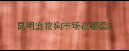 昆明宠物狗市场在哪里