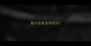 重庆爱康宠物医院