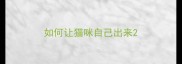 如何让猫咪自己出来