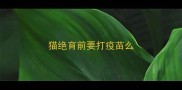 猫绝育前要打疫苗么