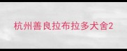 杭州善良拉布拉多犬舍