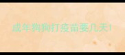 成年狗狗打疫苗要几天