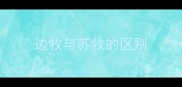 边牧与苏牧的区别