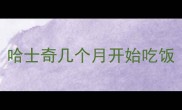 哈士奇几个月开始吃饭