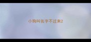 小狗叫名字不过来