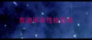 泰迪串串性格怎样