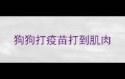 狗狗打疫苗打到肌肉