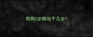 狗狗2岁相当于几岁