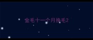 金毛十一个月换毛