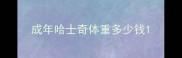 成年哈士奇体重多少钱