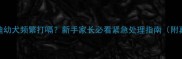 1个月泰迪幼犬频繁打嗝新手家长必看紧急处理指南附真实案例