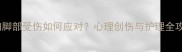 狗狗脚部受伤如何应对心理创伤与护理全攻略