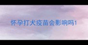 怀孕打犬疫苗会影响吗