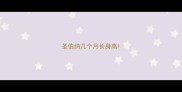 圣伯纳几个月长身高