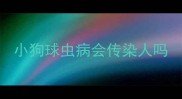 小狗球虫病会传染人吗