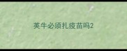 英牛必须扎疫苗吗