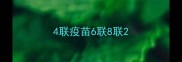 4联疫苗6联8联