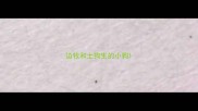 边牧和土狗生的小狗