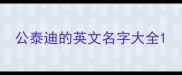 公泰迪的英文名字大全