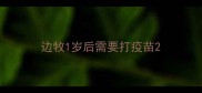 边牧1岁后需要打疫苗