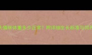 3个月大猫咪体重多少正常附详细生长标准与饲养建议