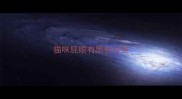 猫咪屁眼有黑色长条