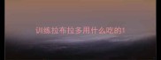 训练拉布拉多用什么吃的