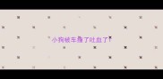 小狗被车撞了吐血了