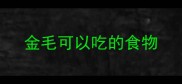 金毛可以吃的食物