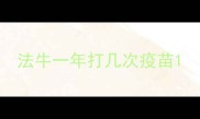 法牛一年打几次疫苗