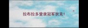 拉布拉多登录冠军狄克