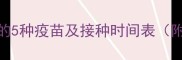 泰迪犬必打的5种疫苗及接种时间表附注意事项