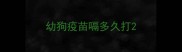 幼狗疫苗嗝多久打